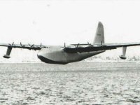 Sprucegoose.jpg