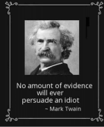 mark-twain-quote.png