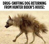 drug-dog.jpg