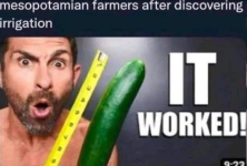 1779868436595.png