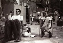 chewbacca-peter-mayhew-27.jpg