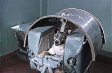 Laika-dog-in-space-small.jpg