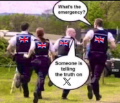1745784744668.png