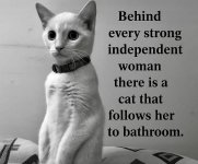 FB_IMG_1752743777842.jpg