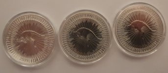 20250815_171359.jpg