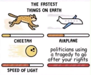 1757234413317.png