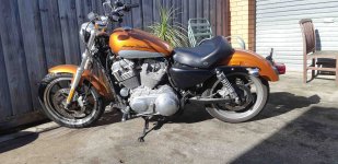 Harley 1.jpg