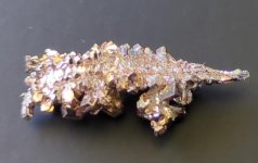 signal-2026-01-28-095556.jpeg signal-2026-01-28-095556.jpeg