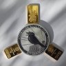 Kooka30